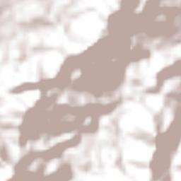 San Pedro Buenavista Terrain Map