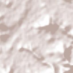 Nuevo Vicente Guerrero Terrain Map