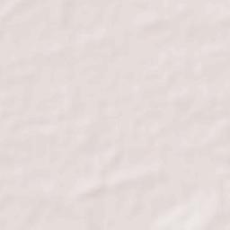 Natividad Terrain Map