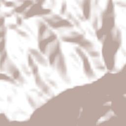 San Bartolomé Loxícha Terrain Map