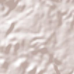 Las Delicias Terrain Map