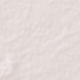 Bugallon Terrain Map