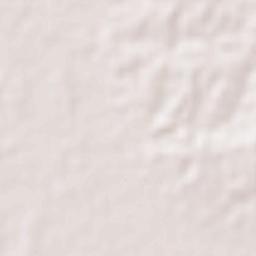 Bacundao Weste Terrain Map