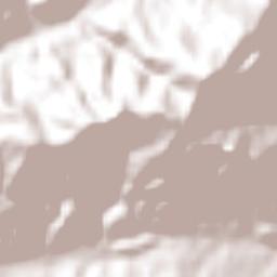 El Camalote Terrain Map