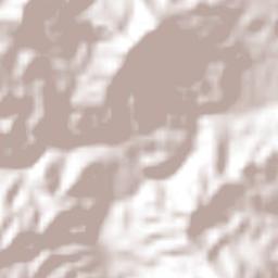 El Ramal (Porvenir) Terrain Map