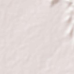 Salvacion I Terrain Map