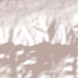 Santo Domingo de Morelos Terrain Map