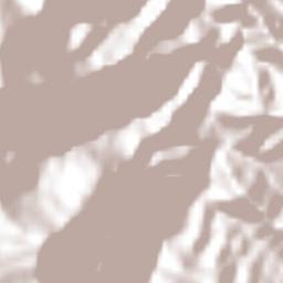 Unión Buenavista Terrain Map