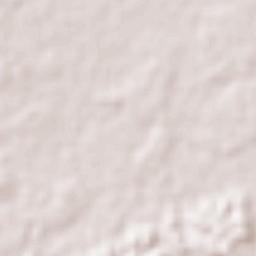 Corocito Terrain Map