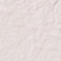 Muang Saravan Terrain Map