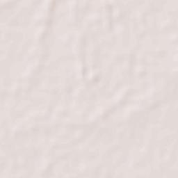 Nampicuan Terrain Map