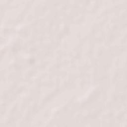 Santo Tomas Terrain Map