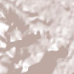 Guadalupe Grijalva Terrain Map