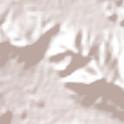 Sabinalito Terrain Map