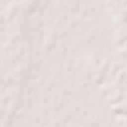 Camiling Terrain Map