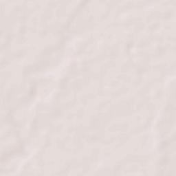 Palusapis Terrain Map