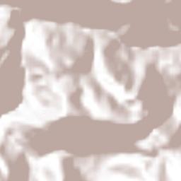 Laguna del Cofre Terrain Map