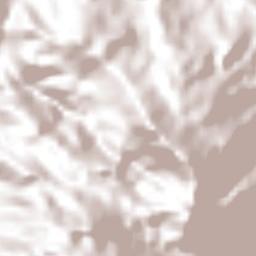 San José las Chicharras Terrain Map