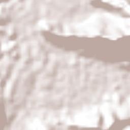 Agua Zarca Terrain Map