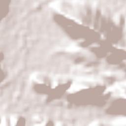 Potrerillo Terrain Map