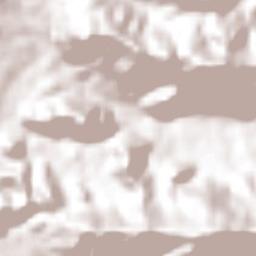 Nueva Morelia Terrain Map