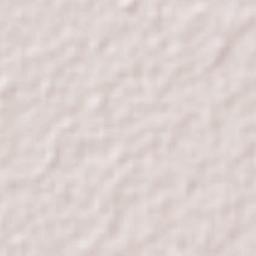 El Carmen Terrain Map