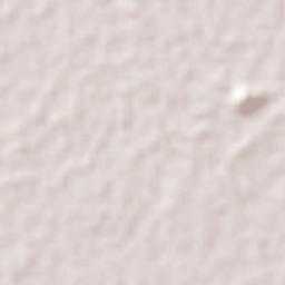 Joaquín Miguel Gutiérrez (Margaritas) Terrain Map