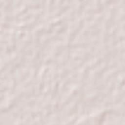 Las Brisas Terrain Map