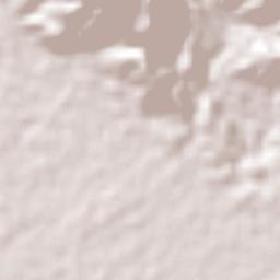 Nuevo Milenio Valdivia Terrain Map