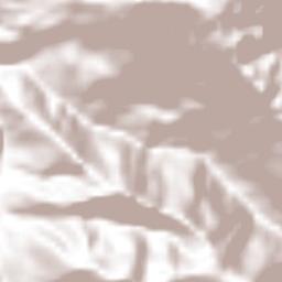 Vega del Rosario Terrain Map