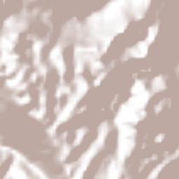 El Palmar Grande Terrain Map