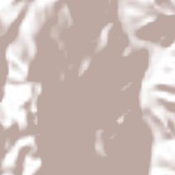 Nuevo Amatenango Terrain Map