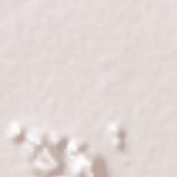 Prakasam Terrain Map