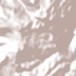 El Porvenir de Velasco Suárez Terrain Map