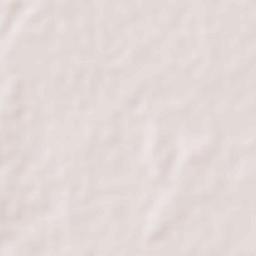 Tarlac City Terrain Map