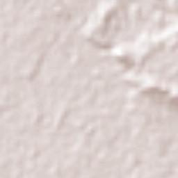 Mapastepec Terrain Map