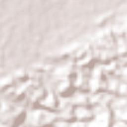 Municipio de Morales Terrain Map