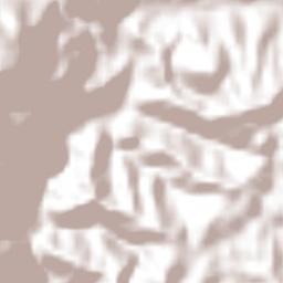 Ocote Paulino Terrain Map