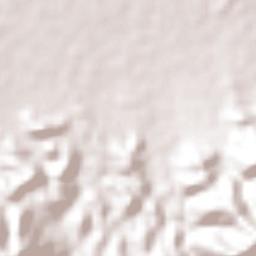 El Juncal Terrain Map