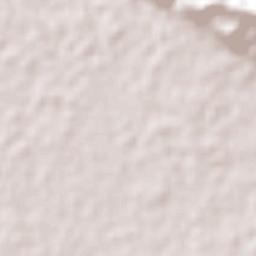 Nueva Sesecapa Terrain Map