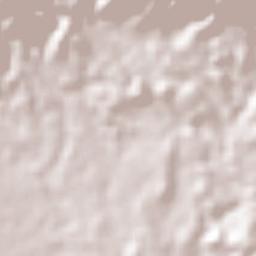 Pinalejo Terrain Map