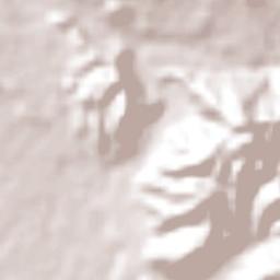 Santa Elena Terrain Map