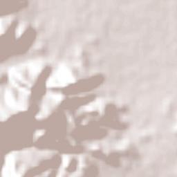 Nuevo Chamelecón Terrain Map