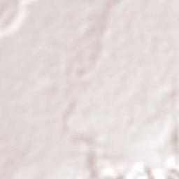 Coyoles Central Terrain Map