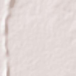 Giddalur Terrain Map