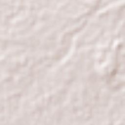 Jiquilpan (Estación Bonanza) Terrain Map