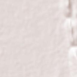 Amphoe Lam Sonthi Terrain Map