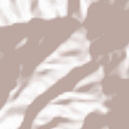 Province of Zambales Terrain Map