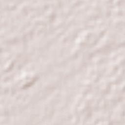 Soconusco Terrain Map