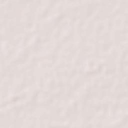 San Vicente Terrain Map